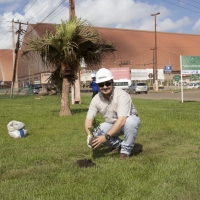 Semana do Meio Ambiente