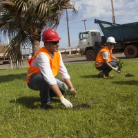 Semana do Meio Ambiente