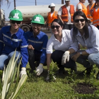 Semana do Meio Ambiente