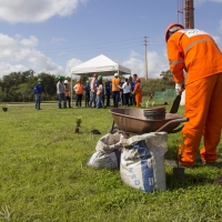 Semana do Meio Ambiente