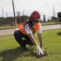 Semana do Meio Ambiente