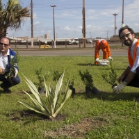 Semana do Meio Ambiente