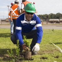 Semana do Meio Ambiente